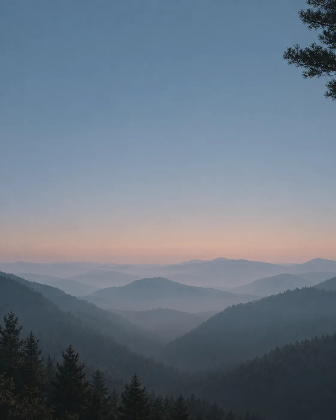 Portrait crop of the same fogged mountain ridgelines, horizon low in the frame, conifer branches framing the top-right and bottom-left