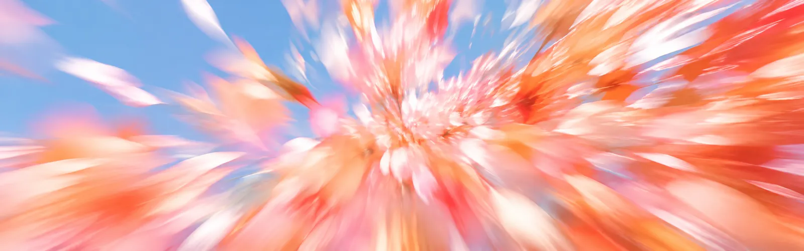 Abstract zoom-blur of coral, peach and pink petals streaking outward from a clear blue sky